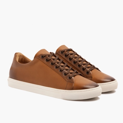 Brown Thursday Boots Premier Men's Low Top Sneakers | UK3102LMB