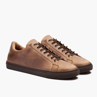 Brown Thursday Boots Premier Men's Low Top Sneakers | UK9523BAU